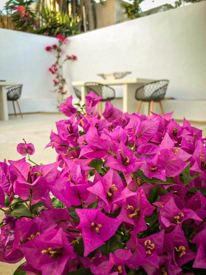 Ds Traditional Villas Santorini Island Karterados  Exterior photo